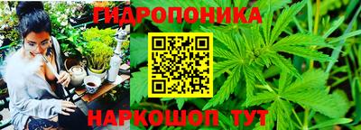 spice Усть-Джегута