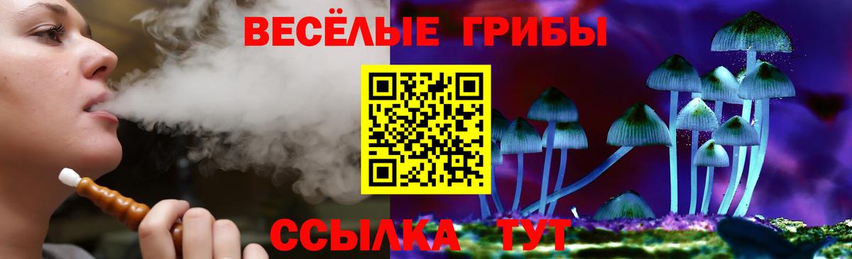 Псилоцибиновые грибы GOLDEN TEACHER Гусь-Хрустальный